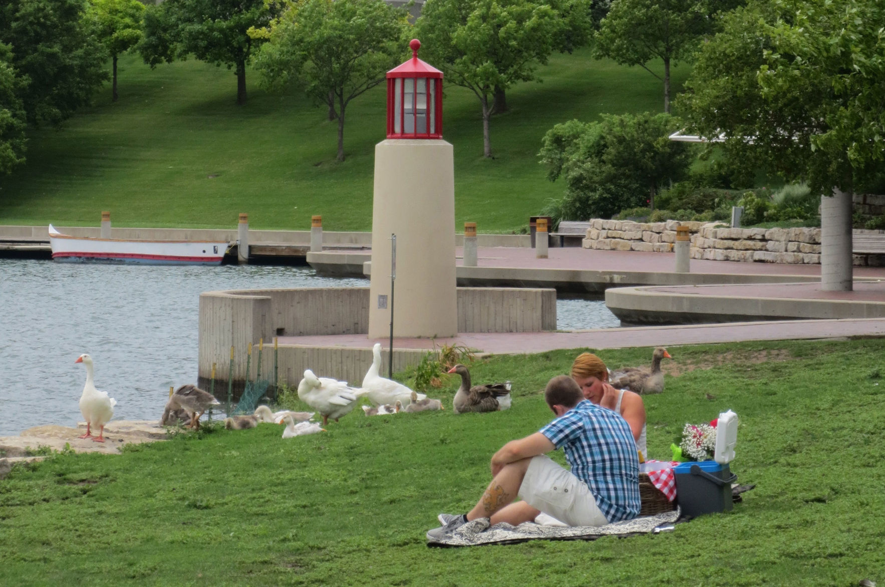 Have a picnic